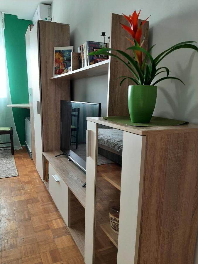 Appartement Vuk à Čačak Extérieur photo